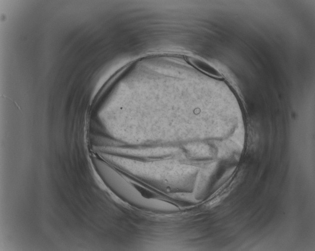 X0000087401390200705181321