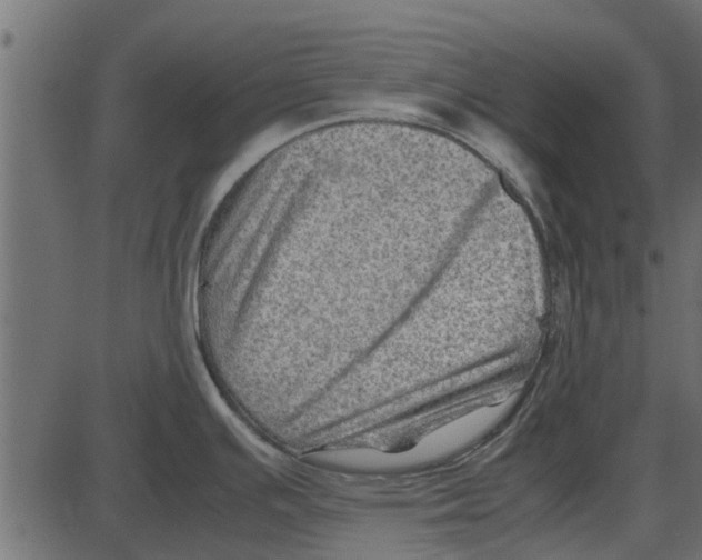 X0000087401391200705181321