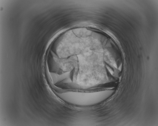 X0000087401392200705181321