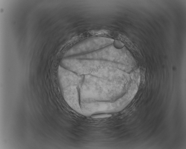 X0000087401393200705181320