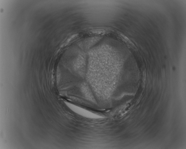 X0000087401394200705181320