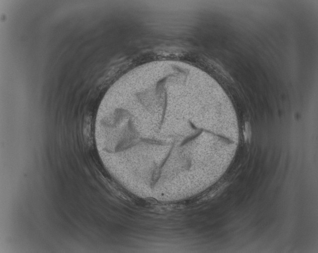 X0000087401396200705181320