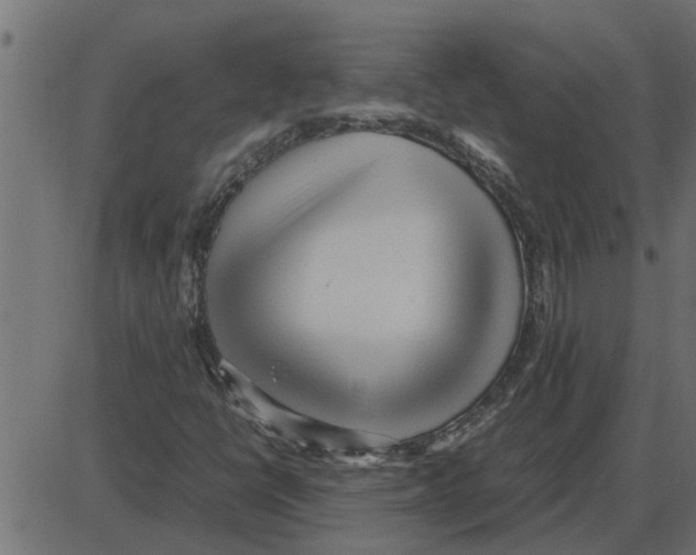 X0000087401398200705181320