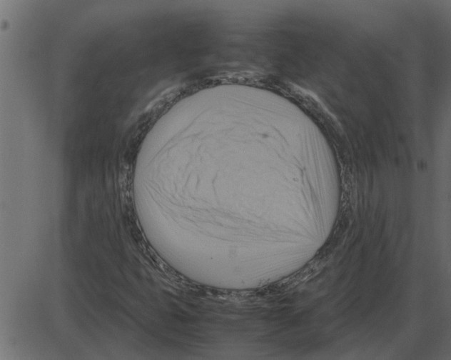 X0000087401399200705181320