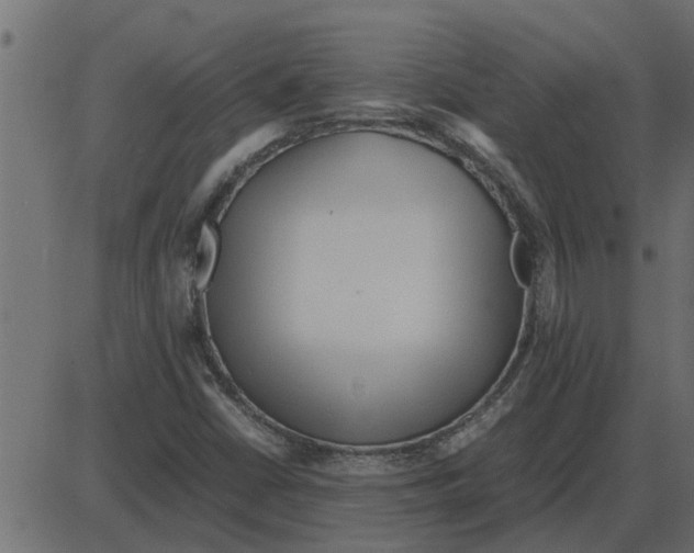 X0000087401402200705181321