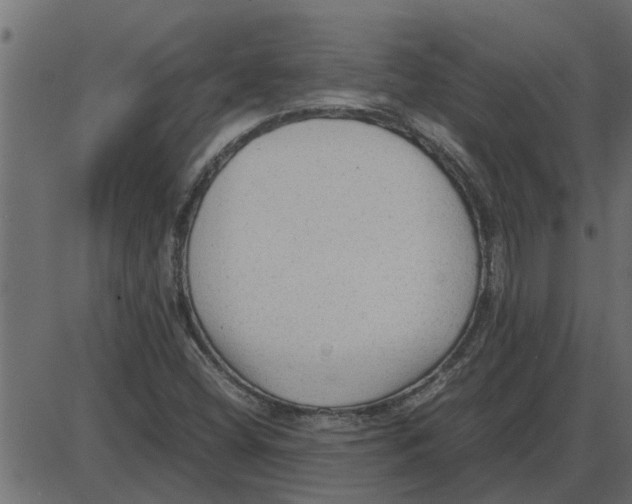 X0000087401404200705181321