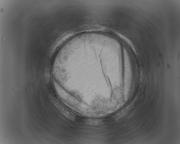 X0000087401407200705181321