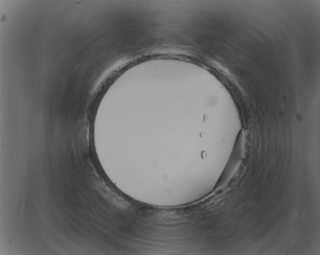 X0000087401408200705181321