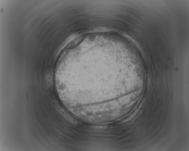 X0000087401409200705181321