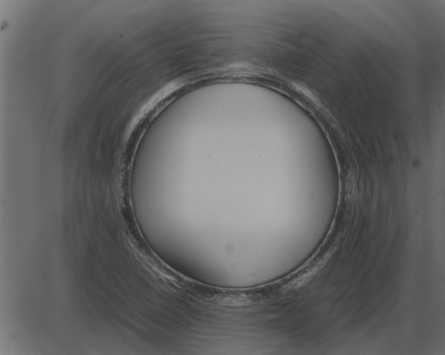 X0000087401410200705181321