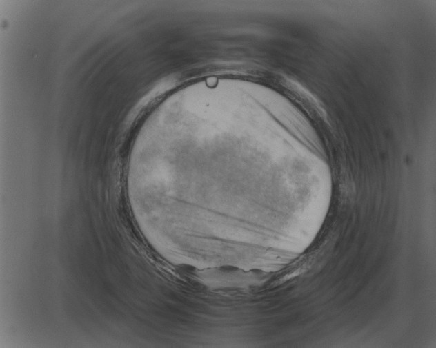 X0000087401411200705181321