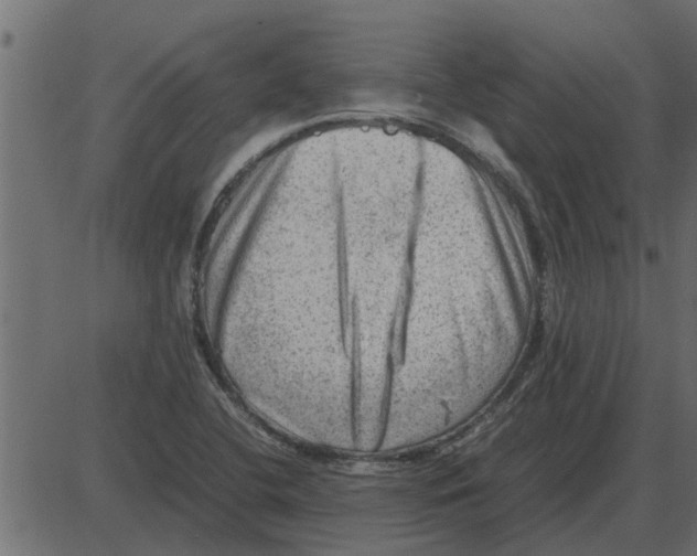 X0000087401412200705181321