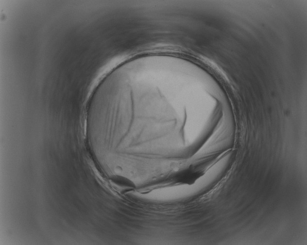 X0000087401413200705181321