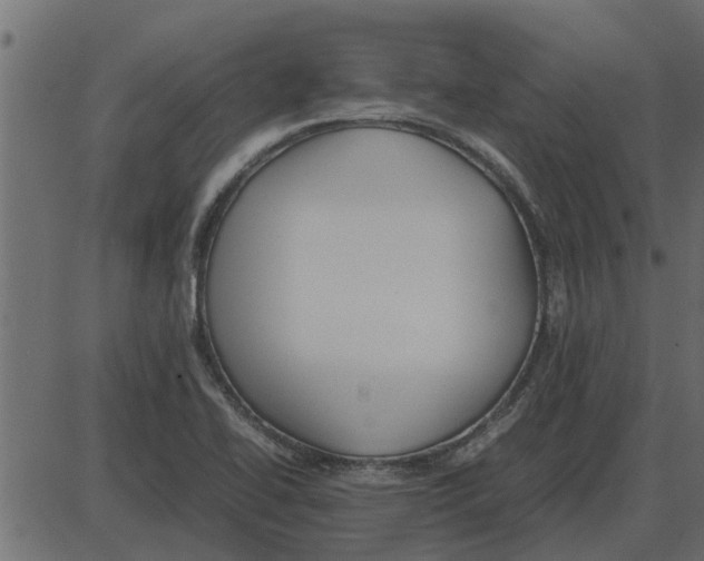 X0000087401414200705181321