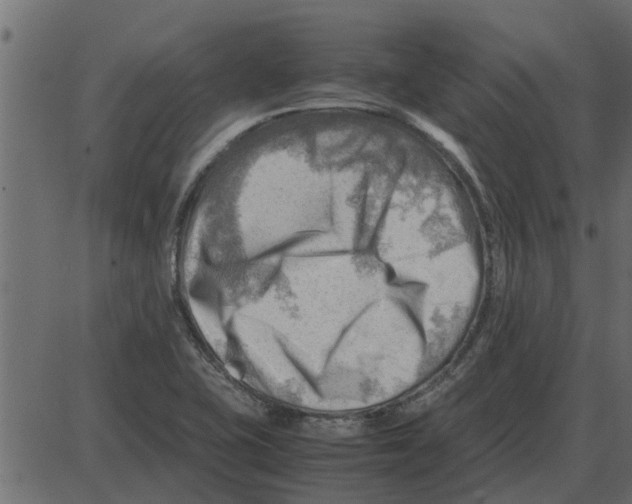 X0000087401415200705181321