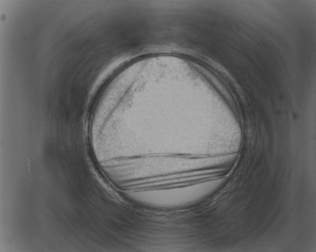 X0000087401416200705181321