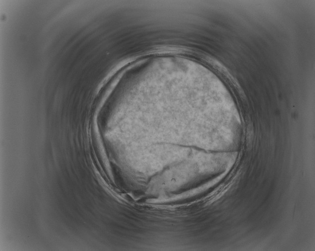 X0000087401417200705181321