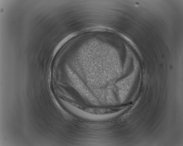 X0000087401418200705181321