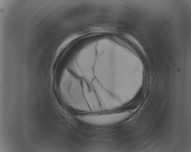 X0000087401419200705181321