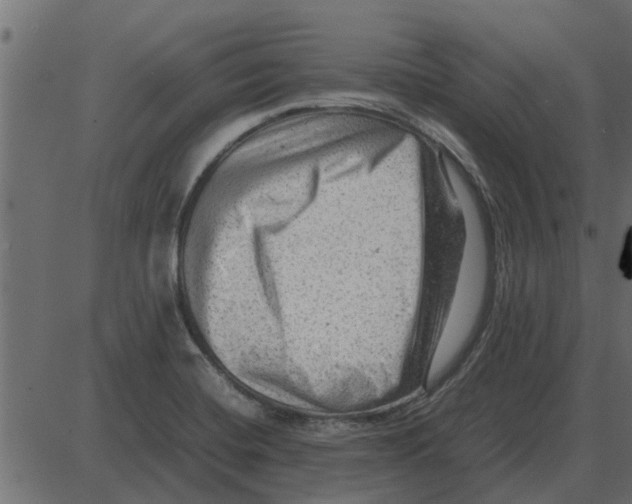 X0000087401420200705181321