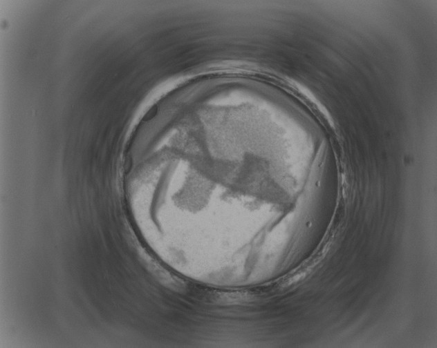 X0000087401421200705181321