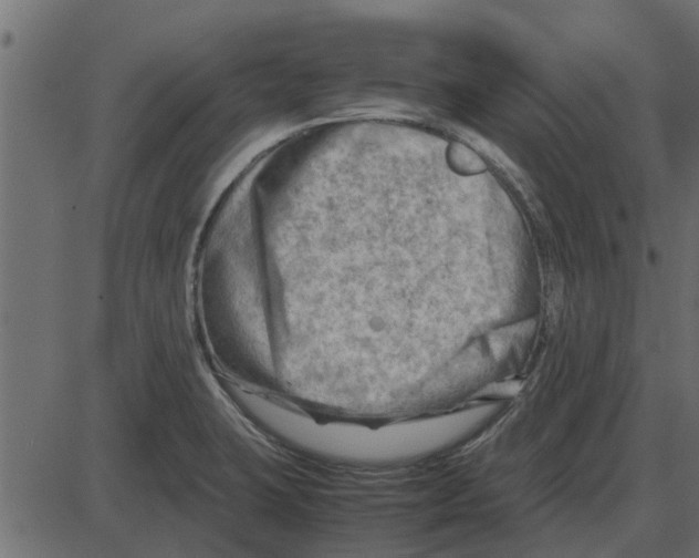 X0000087401423200705181321