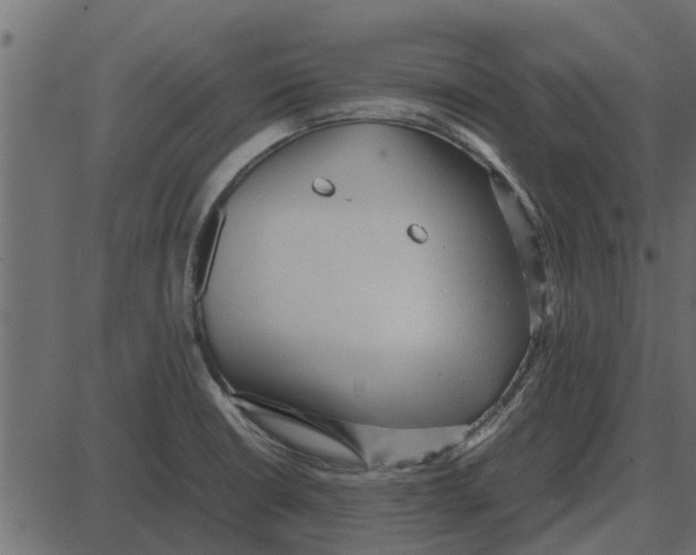 X0000087401426200705181321