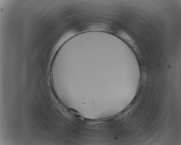 X0000087401427200705181321