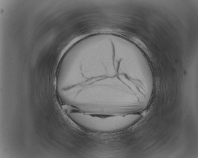 X0000087401428200705181321