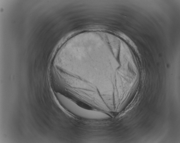 X0000087401429200705181321