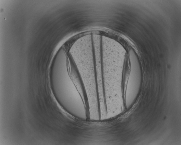 X0000087401430200705181321