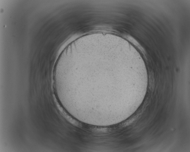 X0000087401431200705181321