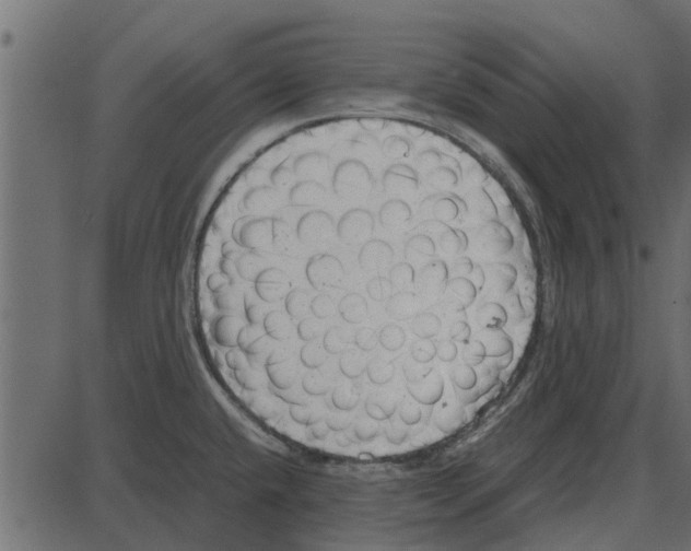 X0000087401432200705181321