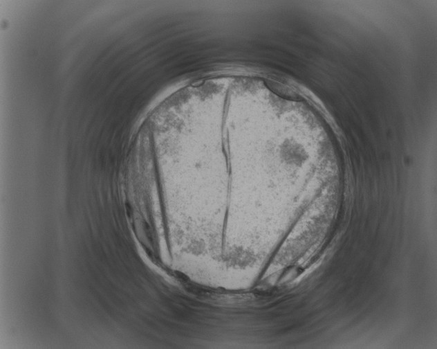 X0000087401433200705181321