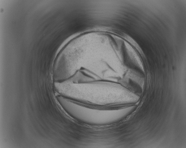 X0000087401436200705181321