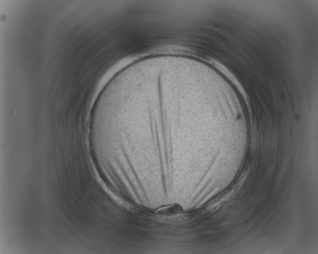 X0000087401437200705181321