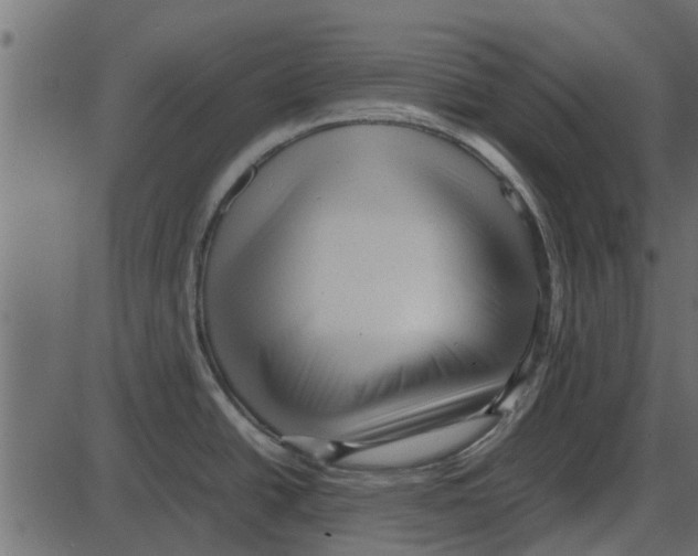 X0000087401438200705181321