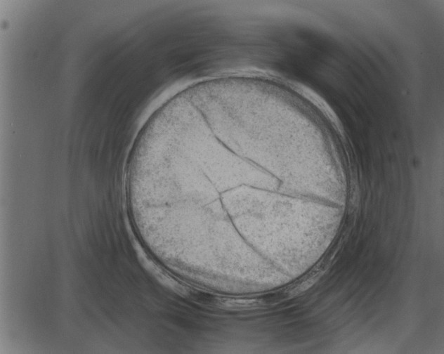 X0000087401439200705181321