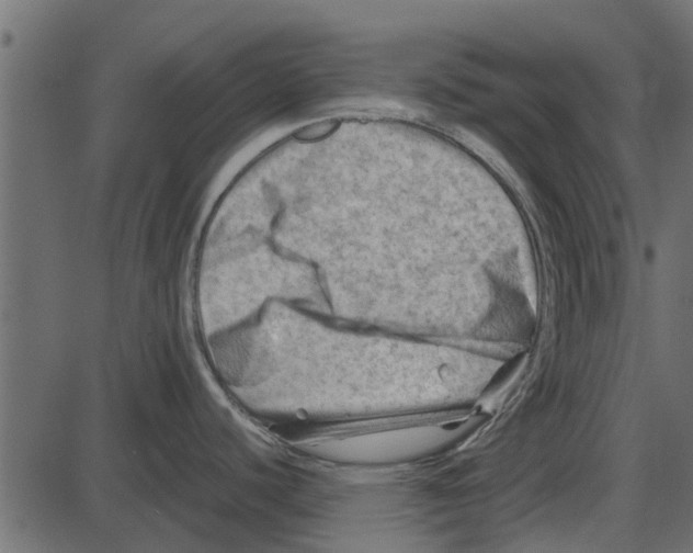 X0000087401440200705181321