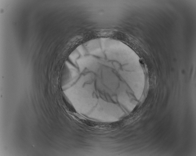 X0000087401441200705181320