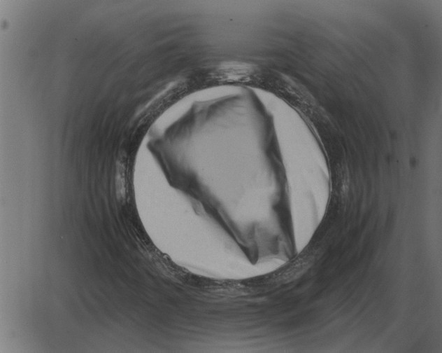 X0000087401442200705181320