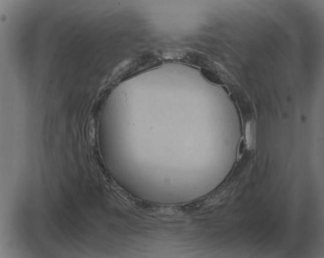 X0000087401443200705181320