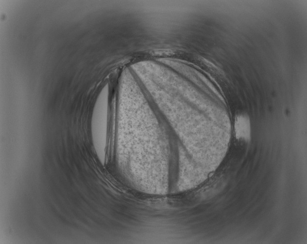 X0000087401444200705181320