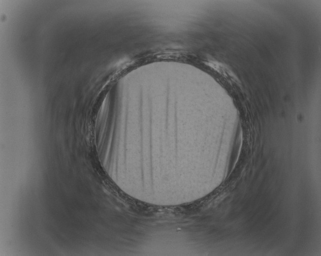 X0000087401445200705181320