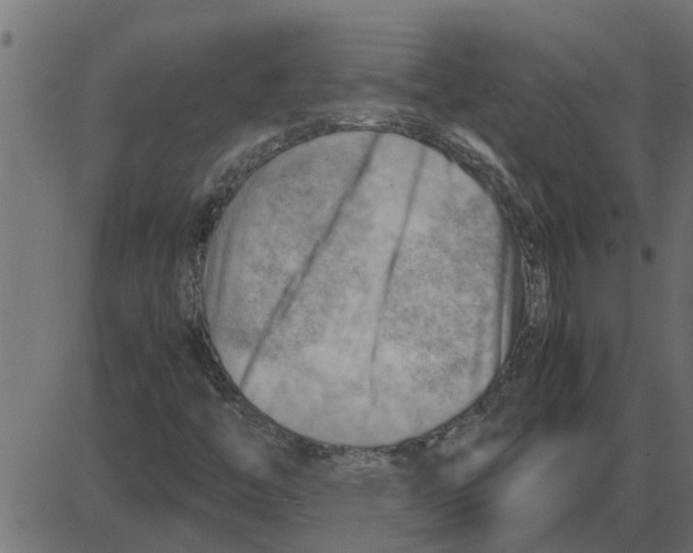 X0000087401446200705181320