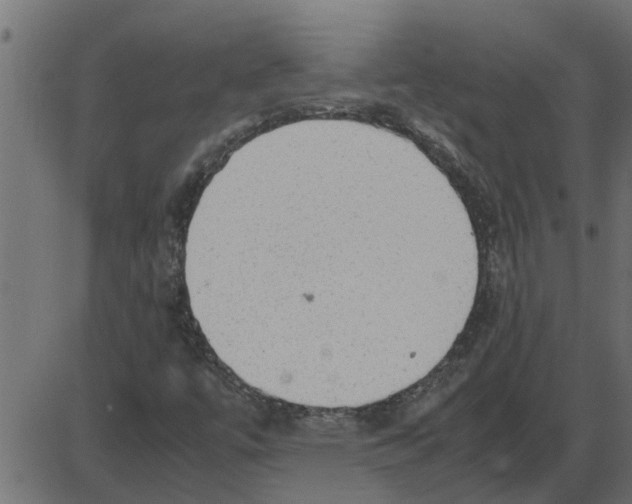 X0000087401447200705181320