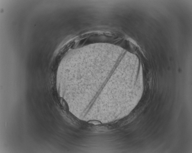 X0000087401448200705181320