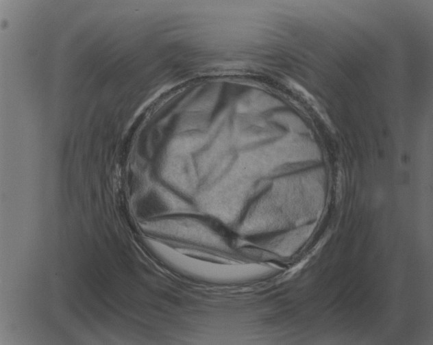 X0000087401449200705181320