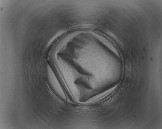 X0000087401450200705181320