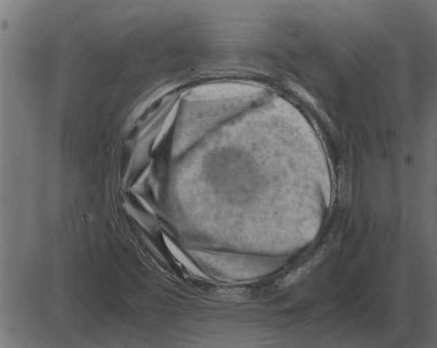 X0000087401453200705181320